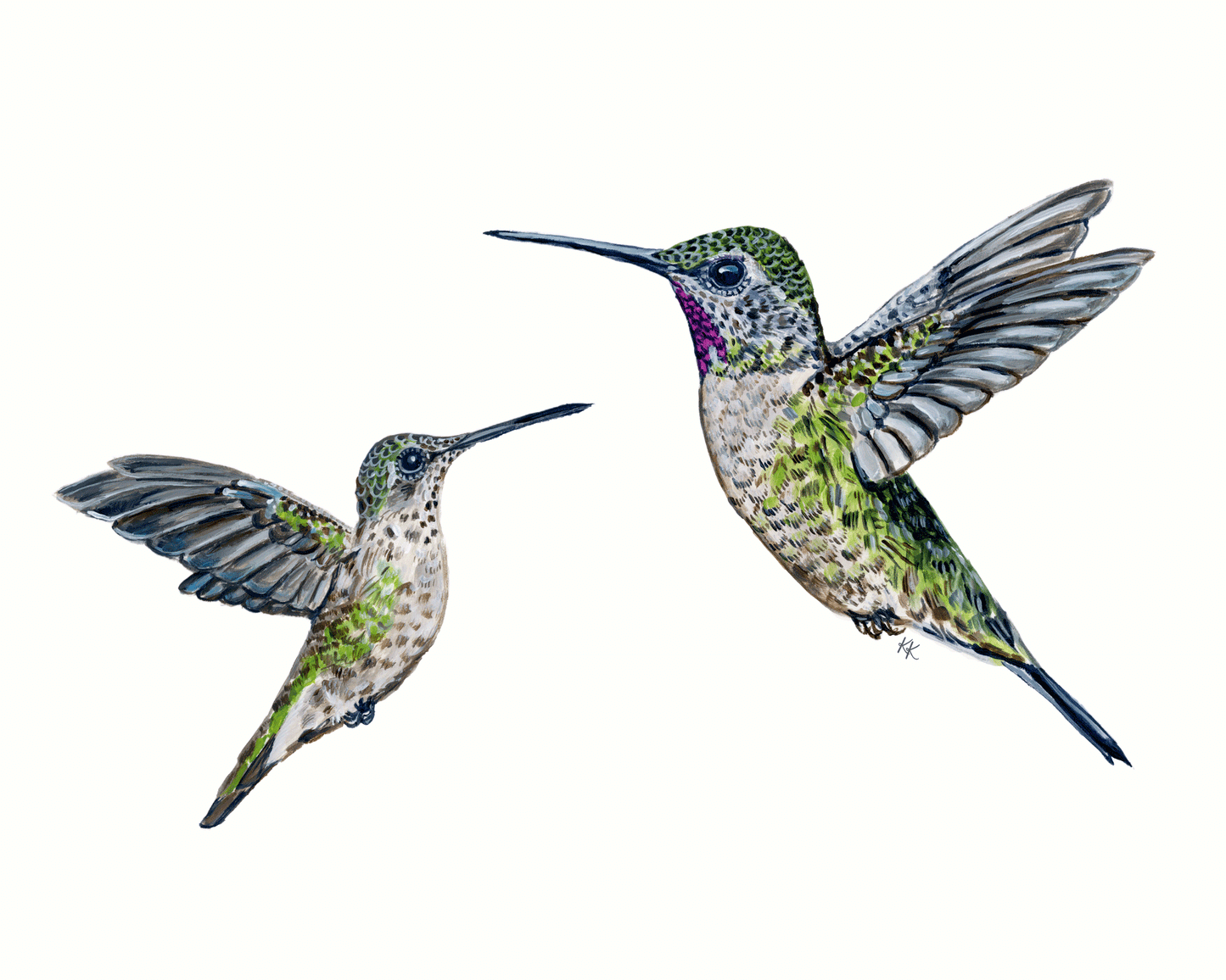 Hummingbird mom and baby