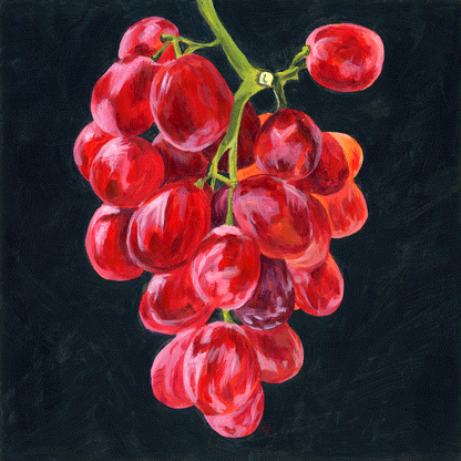 Grapes on a Vine