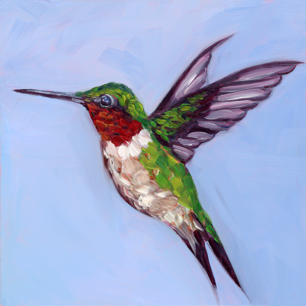 Ruby Throated Hummingbird