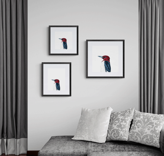 Red Headed Woodpecker