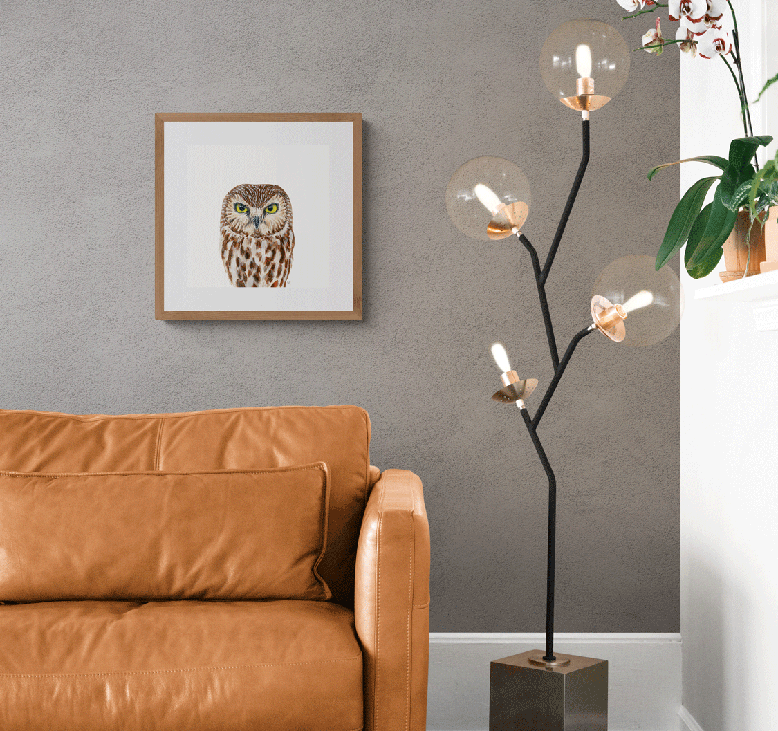 Northern Saw Whet Owl