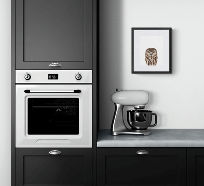 Northern Saw Whet Owl