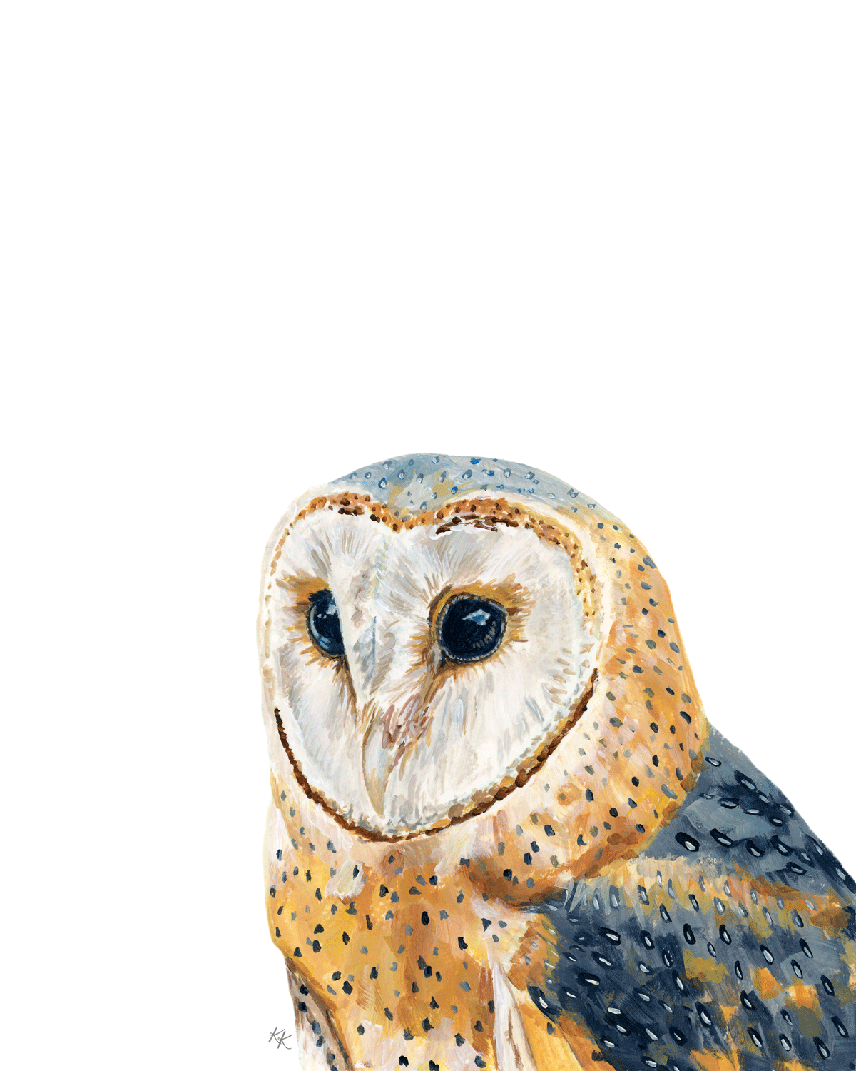 Barn Owl