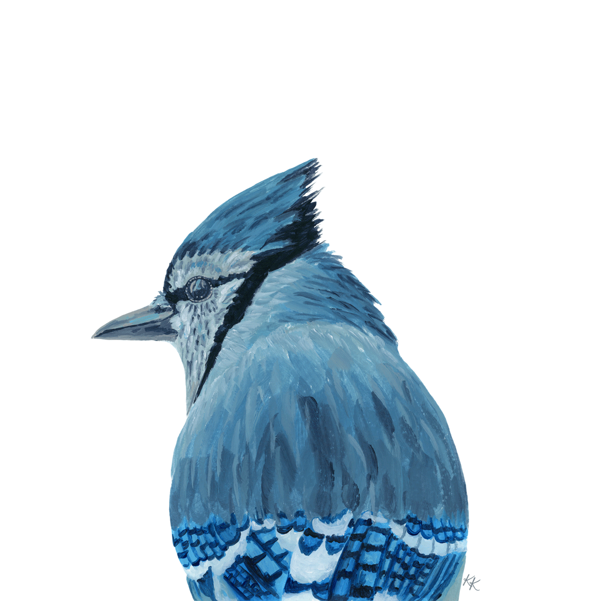 Blue Jay