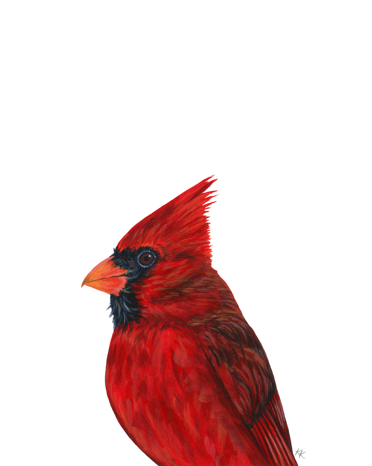 Cardinal