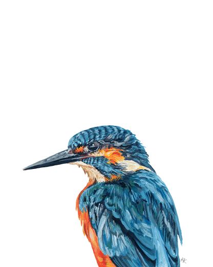 Common Kingfisher