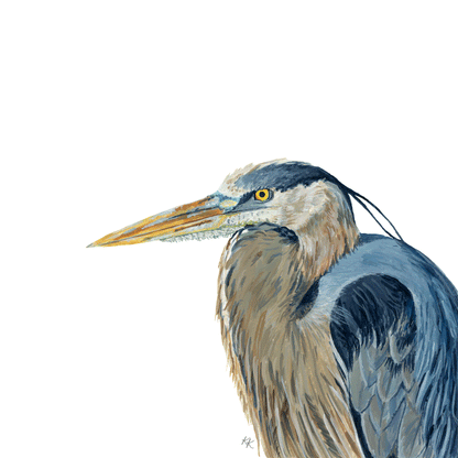Great Blue Heron