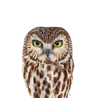 Northern Saw Whet Owl
